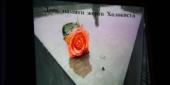 ���� � ����� ������� �� ������ ����������. �����-������� ������ ����� ��������� . ����� ����: �������� ��������. 3 �� 13