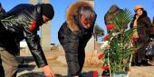 Фото с места события собственное. Возложение цветов к могилам погибших военнослужащих. Автор фото: Антон Балашов. 5 из 8