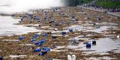 ���� � ����� ������� �� ������ ����������. ����� �������� ����� "������" ���  �����. ����� ����: http://newsru.com/pict/big/1294644.html