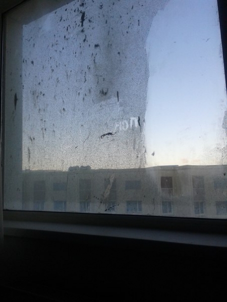 грязные окна кампуса ДВФУ